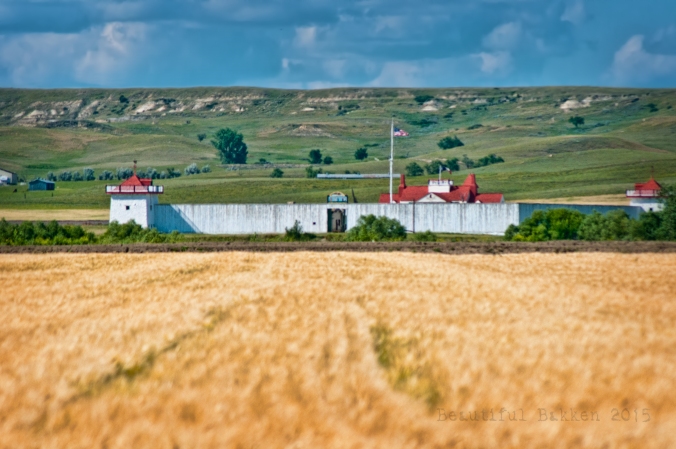 Fort Union wheat field vig sig