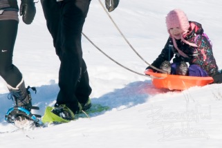 little-girl-in-sled-pulled-behind-snowshoes-sig-small